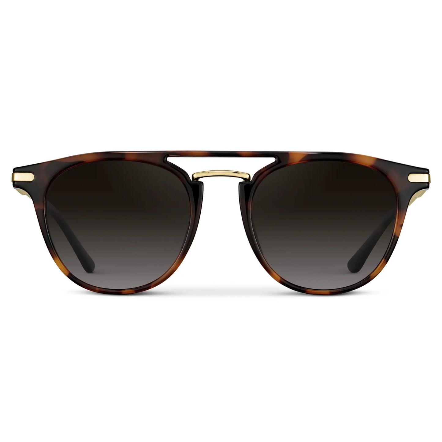 Hayes Polarized Brown Tortoise Sunglasses