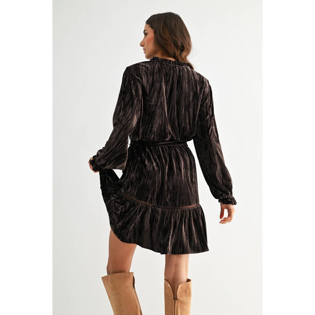 Camellia - VELVET LONG SLEEVE MINI DRESS