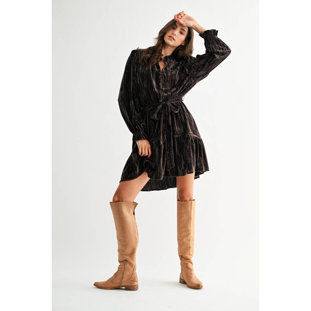 Camellia - VELVET LONG SLEEVE MINI DRESS