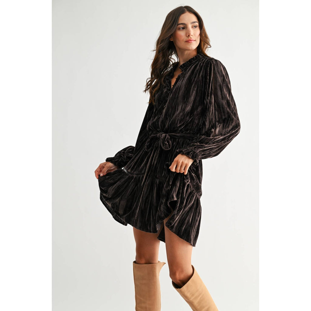 Camellia - VELVET LONG SLEEVE MINI DRESS