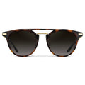 Hayes Polarized Brown Tortoise Sunglasses