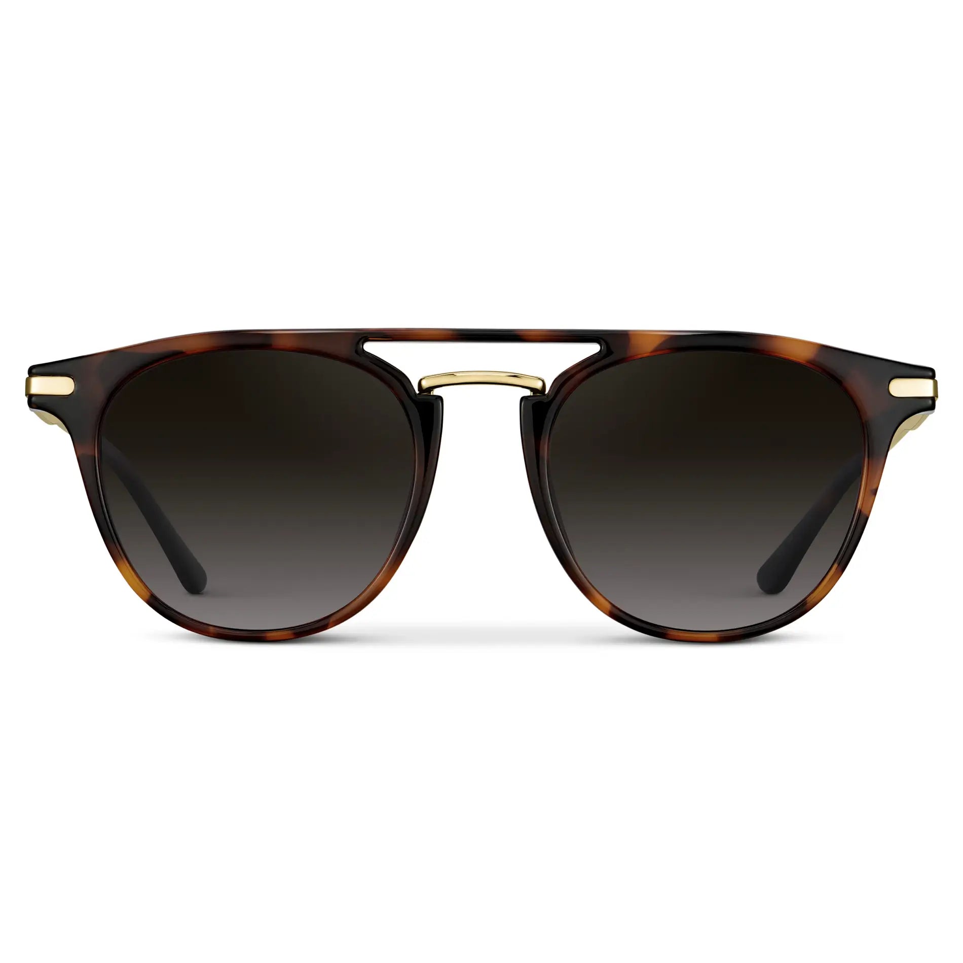 Hayes Polarized Brown Tortoise Sunglasses
