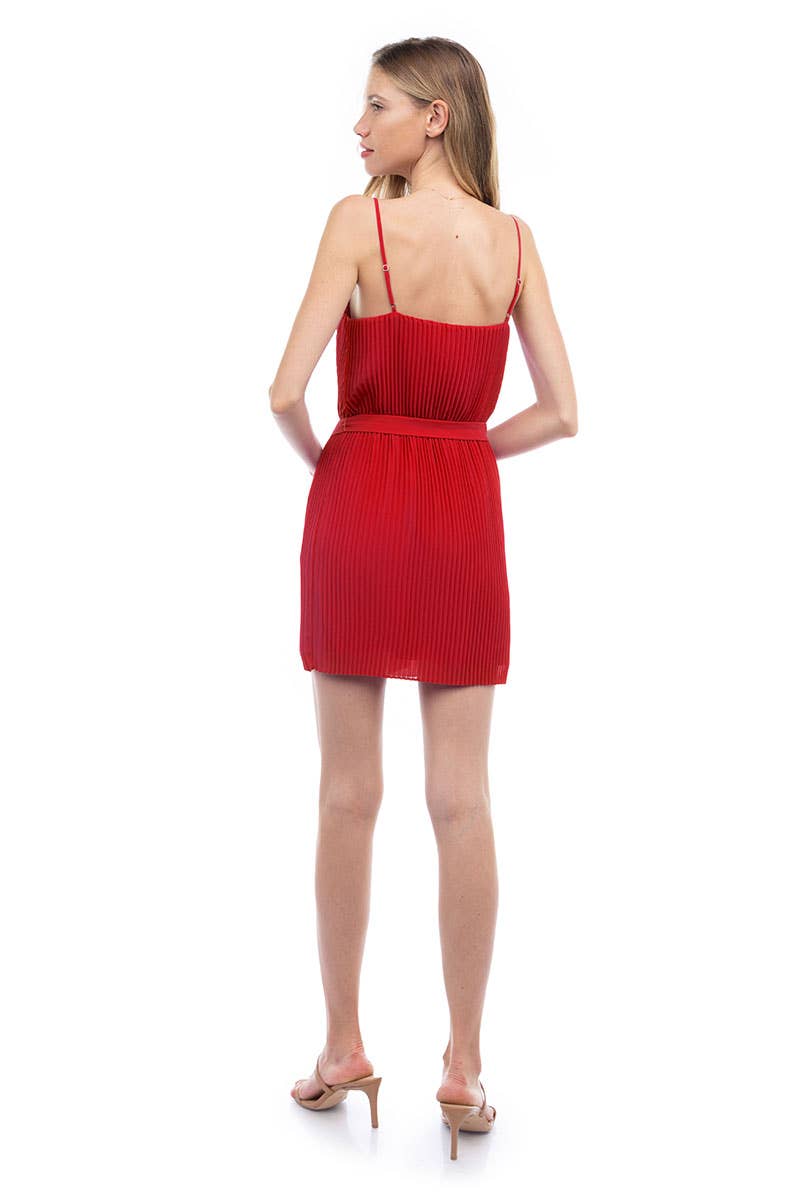 Naked Zebra - Pleated Chiffon Dress: