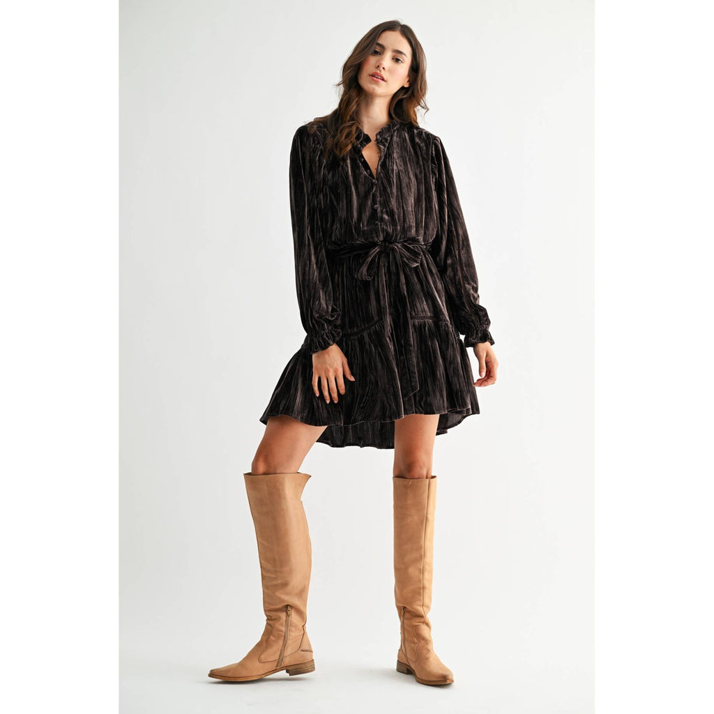 Camellia - VELVET LONG SLEEVE MINI DRESS
